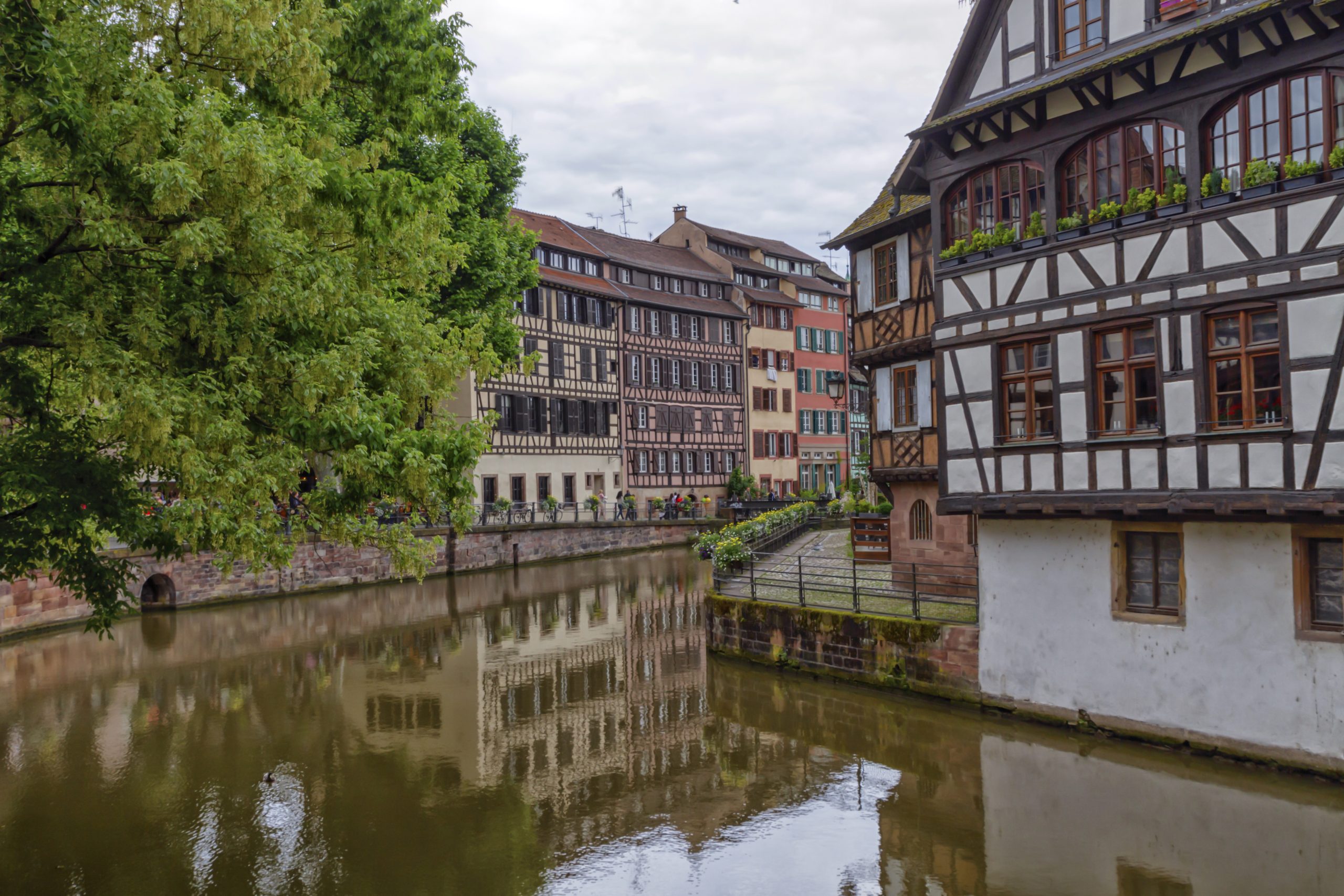 Maisons à colombages le long d'un canal de la Petite France à Strasbourg